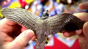 FALCONS and CO Figures Ƹ̴Ӂ̴Ʒ FULL BOX DeAgostini BLIND BAG UNBOXING