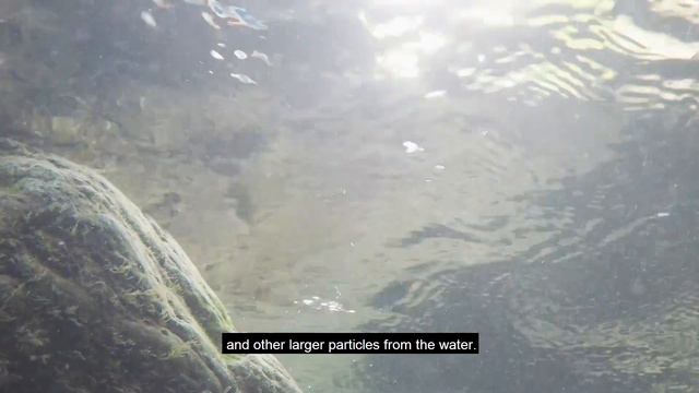 The Role of Chemical Engineers in Natural Water Filtration System смотреть онлайн