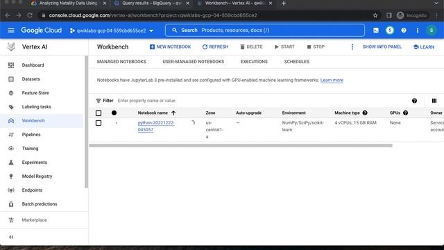 Analyzing Natality Data Using Vertex AI and BigQuery GSP012 смотреть онлайн