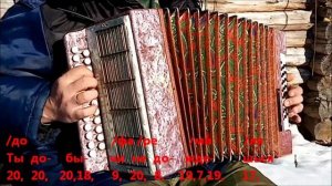 Чёрный ворон. Разбор на гармони.