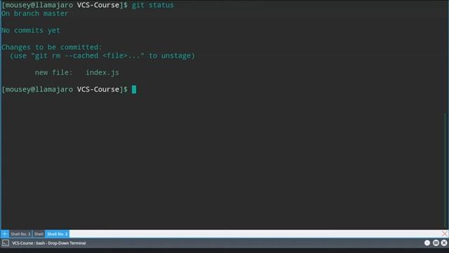 [E1] - Setting up a Git Repository смотреть онлайн