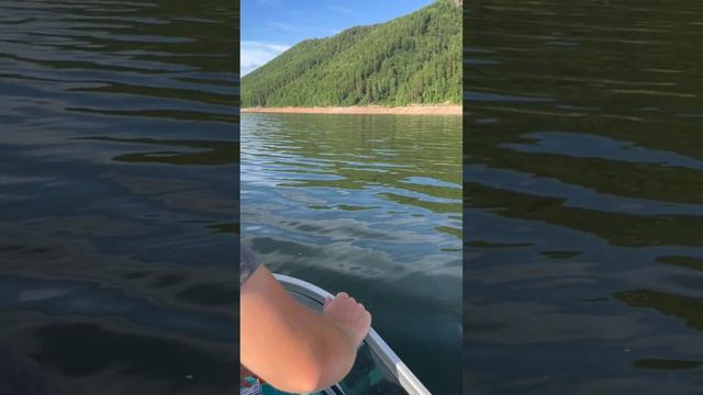 Прокат катеров на Красноярском море смотреть онлайн