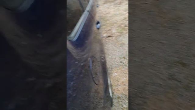 28 декабря 2021 г. смотреть онлайн