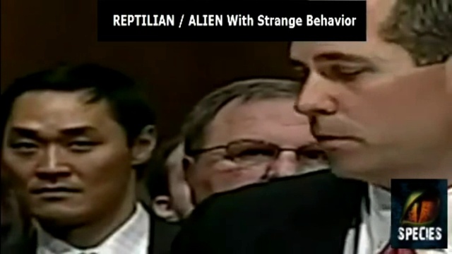 Китайский чиновник рептилоид. смотреть онлайн