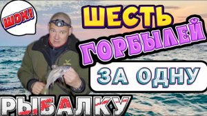 Черноморский горбыль или горбылевое Эльдорадо! Ночная морская рыбалка в Крыму.