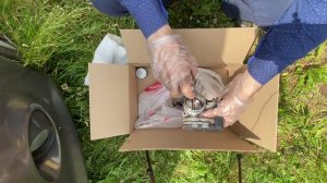 Как почистить дроссельную заслонку на форд фокус 3