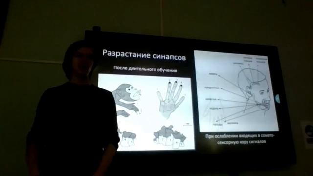 Нейробиология. Лекция 16. Соматосенсорика смотреть онлайн