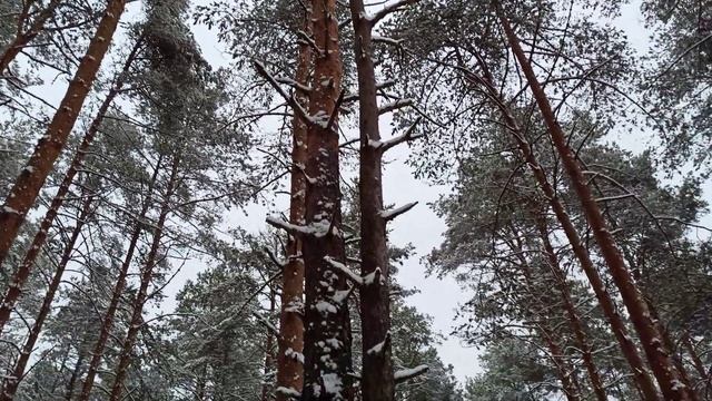 Мартовский снег (ст. А. Тарковский, муз. Е. Фролова) смотреть онлайн