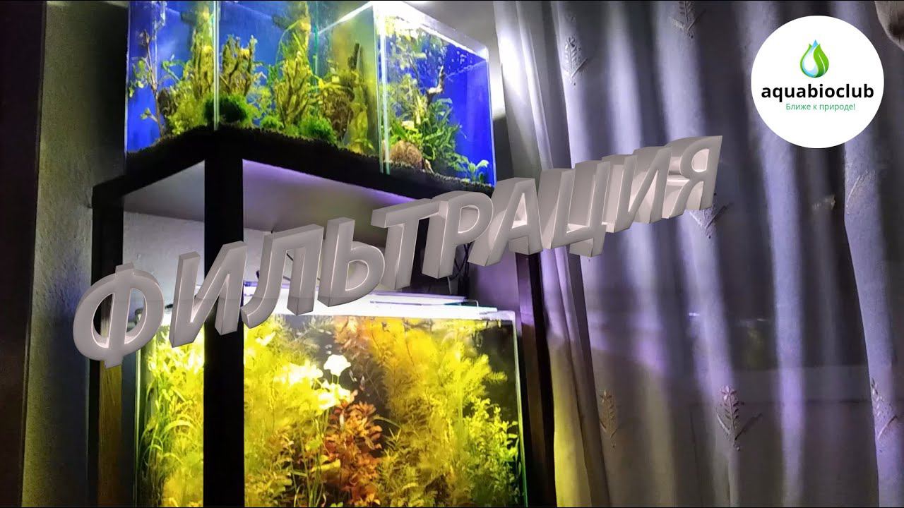 Фильтрация в аквариуме. Все о фильтрации и способах фильтрации. смотреть онлайн