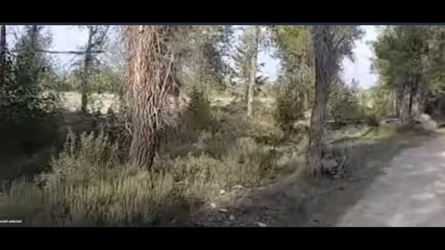 Gabby Petito Van Footage Quick Analysis смотреть онлайн