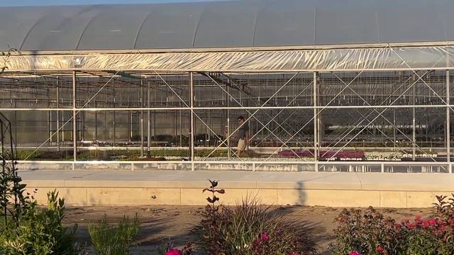 An Evening Proven Winners Signature Garden Tour Late July 2023 смотреть онлайн