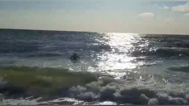 Отдых на Балтийском море. смотреть онлайн