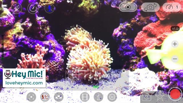 Hey Mic!™ Guide - Hey Cam! the Video App смотреть онлайн