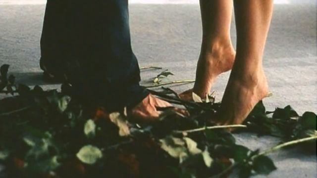 Цените друг друга.Пока вы вместе! смотреть онлайн