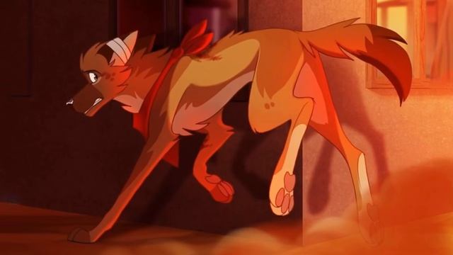 Shut Eye - SLIDESHOW