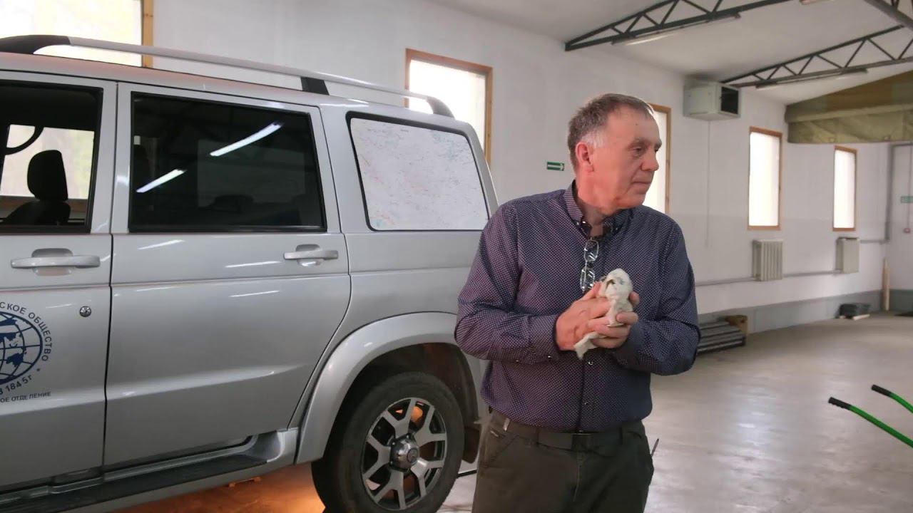 Сколько вешать в граммах? смотреть онлайн