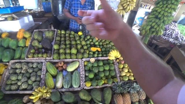 ШРИ-ЛАНКА 2023.ГАЛЛЕ.ЭКСКУРСИЯ ПО КРЕПОСТИ.РЫБНЫЙ РЫНОК. #шриланка #shrilanka #новыйгод смотреть онлайн