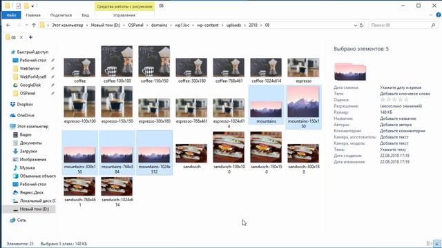 12 Работа с медиафайлами в WordPress. Часть 1 смотреть онлайн