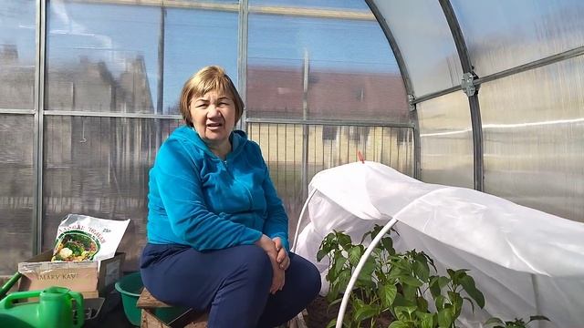 УХОД ЗА СЛАДКИМ ПЕРЦЕМ ПОСЛЕ ПОСАДКИ смотреть онлайн