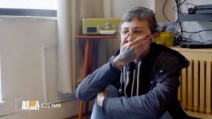 На свободу с питбулем | Animal Planet