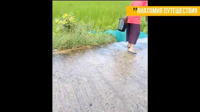 9 коротких сюжетов: необычная рыбалка во Вьетнаме смотреть онлайн