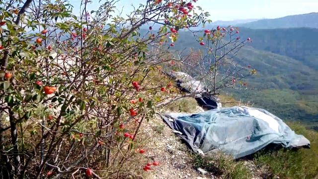 горная Кубань гора северный папай смотреть онлайн