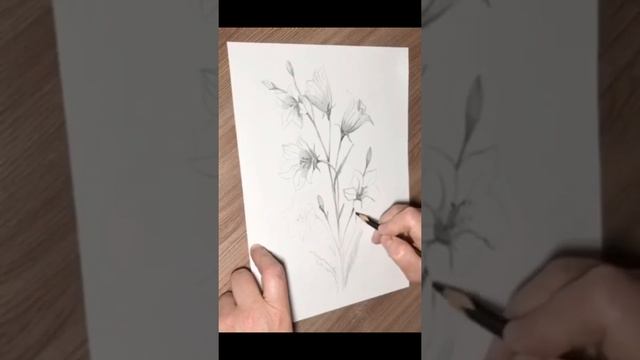Как нарисовать колокольчик двумя карандашами. Поэтапный мастер класс по рисованию для начинающих. смотреть онлайн