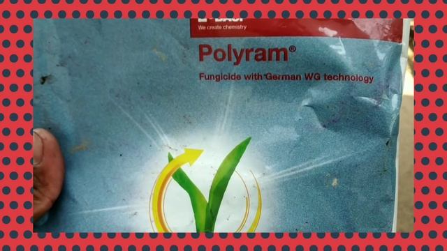 13 October 2021/ Polyram    70/wg Fungicide Medicine