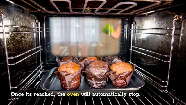 Ninja DT251 Foodi 10-in-1 Smart XL Air Fry Oven Reviews смотреть онлайн