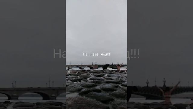 Первый лёд на Неве. Купаюсь в небольшой полынье. смотреть онлайн