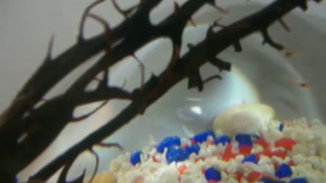 аквамир1 смотреть онлайн