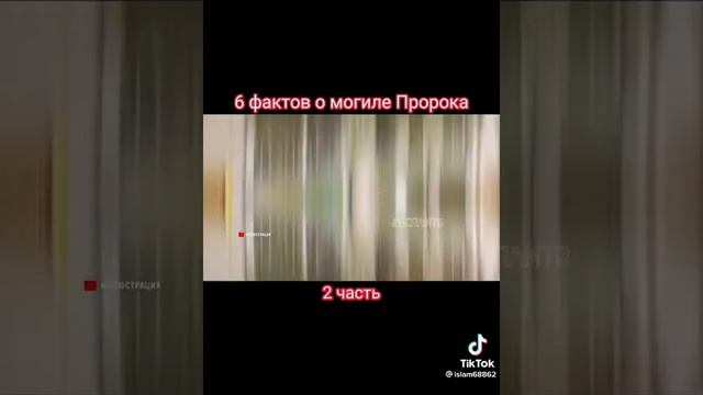 Могила Пророка Мухаммада мир ему ? смотреть онлайн