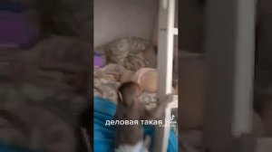 маленькая послушная девочка, такая прикольная без одежды !