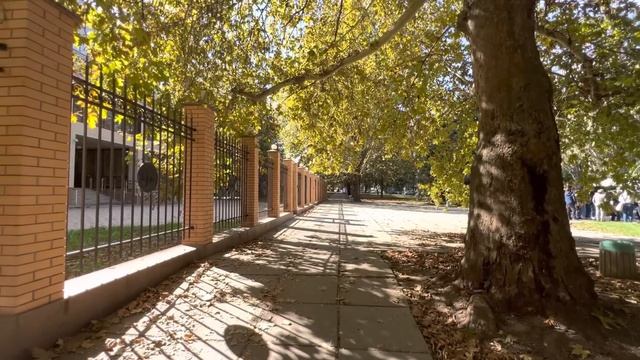 Сторонники УЖЕ СОБИРАЮТСЯ под зданием ВЕРХОВНОГО СУДА! смотреть онлайн