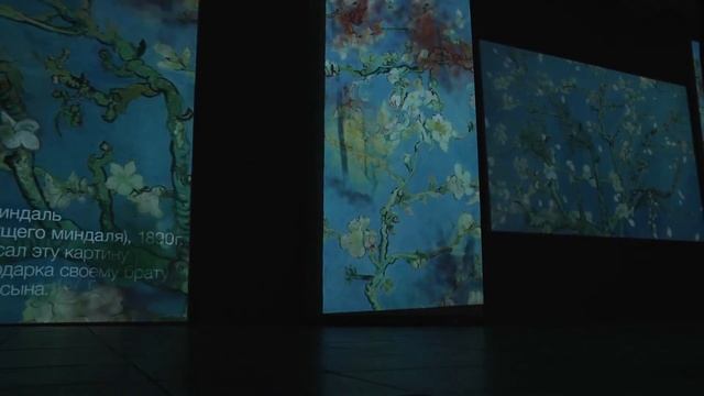 Благовещенцам показали «ожившие» оригиналы произведений Винсента Ван Гога