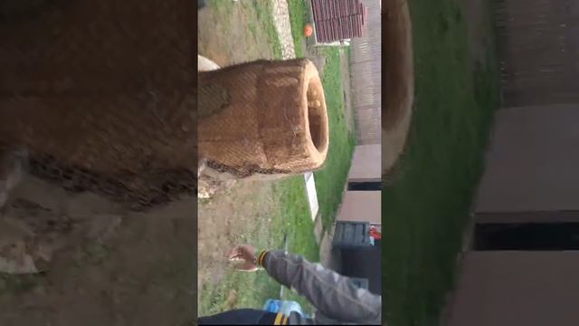Тандыр .Дело идёт к концу.. смотреть онлайн