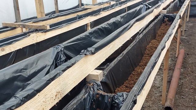 Клубника на деревянных стеллажах. Моя новая малообьемка смотреть онлайн