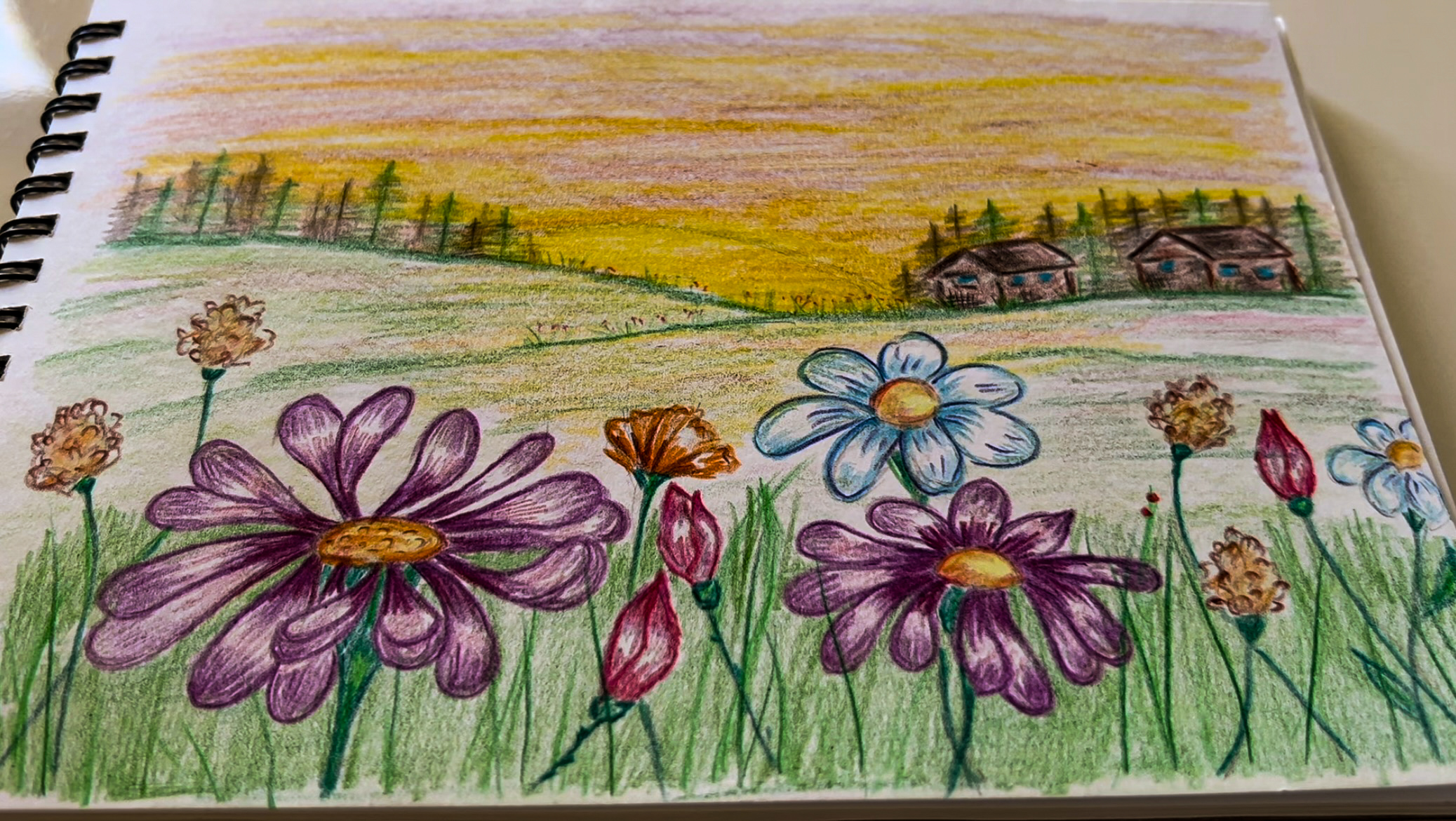 ПРОСТОЙ РИСУНОК КАРАНДАШАМИ ЛЕТО смотреть онлайн