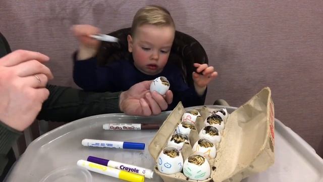 КАК ВЫРАСТИТЬ ТРАВУ ДЛЯ КОТОВ В ЯИЧНОЙ СКОРЛУПЕ / ТРАВА ДЛЯ КОТОВ / РИСУЕМ НА ЯЙЦАХ / ТРАВА КОТАМ смотреть онлайн