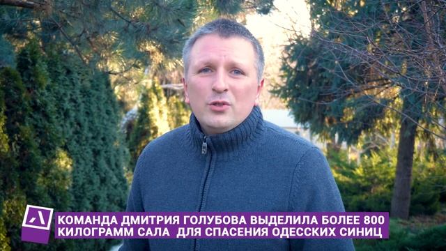 Морозы крепчают: Дмитрий Голубов протянул крыло помощи синичкам смотреть онлайн