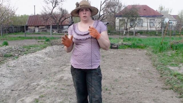 Грядки Розума создаём, а картошка посадится сама) смотреть онлайн