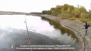 Рыбалка на Катуне