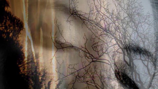 Bonnie Raitt--Dimming of the Day (live from Road Tested) смотреть онлайн