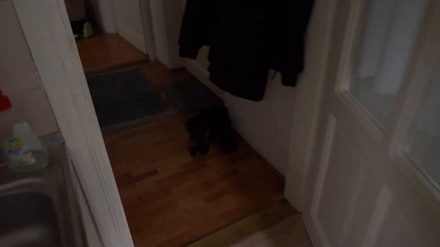 Как ЖИВУТ Эмигранты в СЕРБИИ #РУМТУР  | VLOG 33 | The Serbia Belgrade