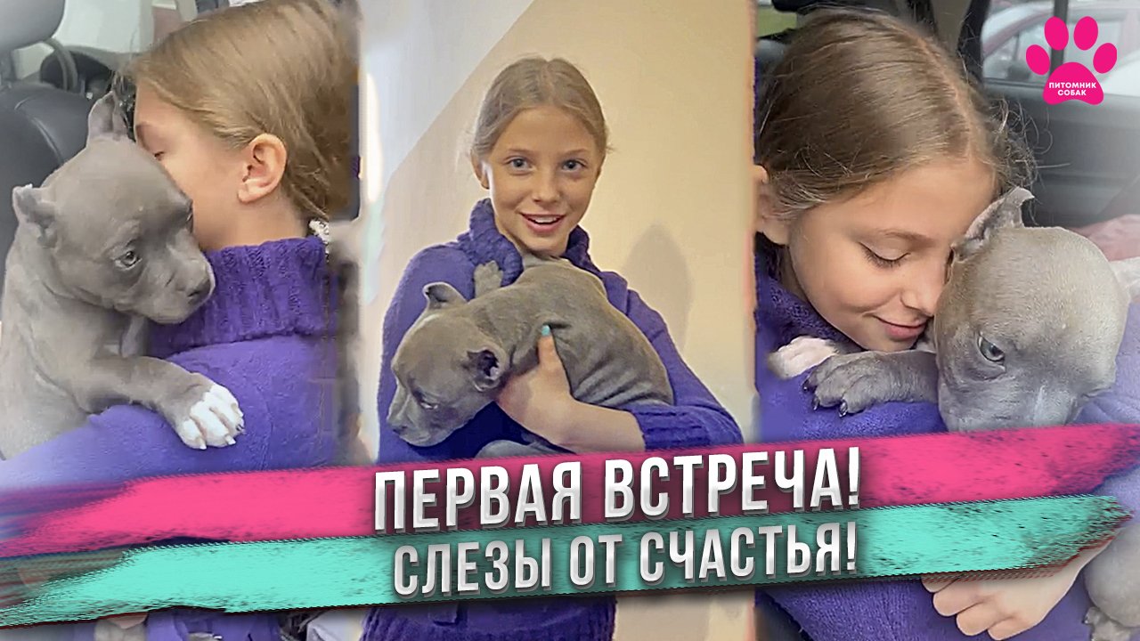 Еве подарили собаку! ❤️ Реакция на щенка! 😭 ДО СЛЕЗ! смотреть онлайн