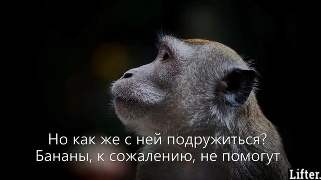 Секрет правильной медитации. смотреть онлайн