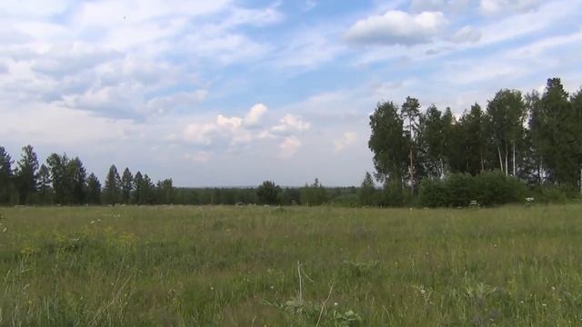 Земляника - кладезь здоровья и витаминов смотреть онлайн