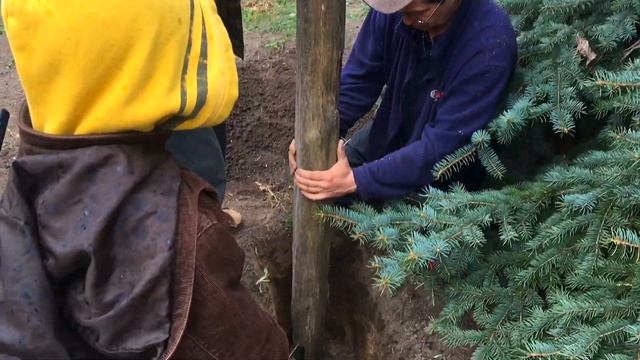 КАРАНТИН! Делаем ДЕТСКУЮ ПЛОЩАДКУ на даче! Устанавливаем двойные качели! смотреть онлайн