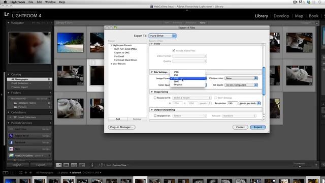 How to Export Lightroom Photos to iPhoto смотреть онлайн