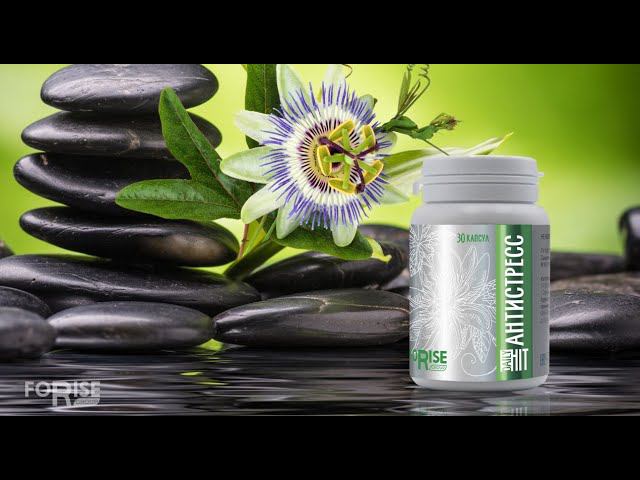 FORISE GROUP. Дейли Хит. Антистресс - Нервы под контролем. смотреть онлайн